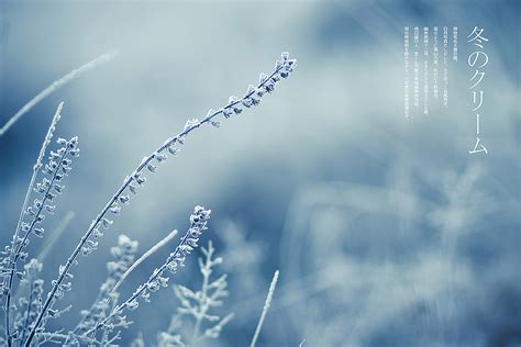《冬季的霜》|摄影|风光摄影|michaelpst - 原创作品 - 站酷 (ZCOOL)