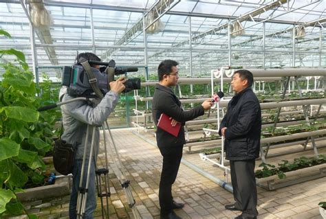 上海广播电视台电视新闻中心记者来埇桥采访报道 现代农业_宿州市埇桥区人民政府