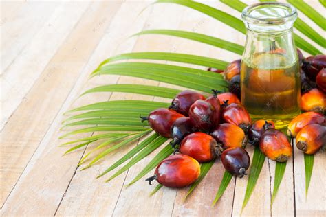 商业棕榈油种植。因为棕榈油包含更多 高清摄影大图-千库网