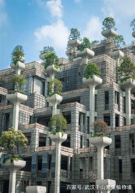 新加坡皇家花园酒店景观-酒店花园空中花园垂直绿化-设计师图库
