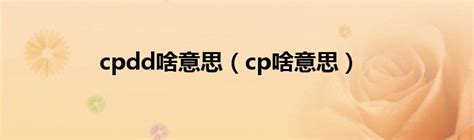 cpdd啥意思（cp啥意思）_华夏智能网