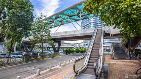 滨海西大道提升改造工程月底完工 配四座景观艺术天桥 - 厦门便民网