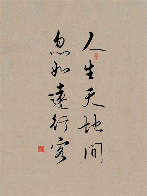 《老子与孔子：中国哲学的精神》，杨立华教授大道知行讲堂开讲_手机凤凰网