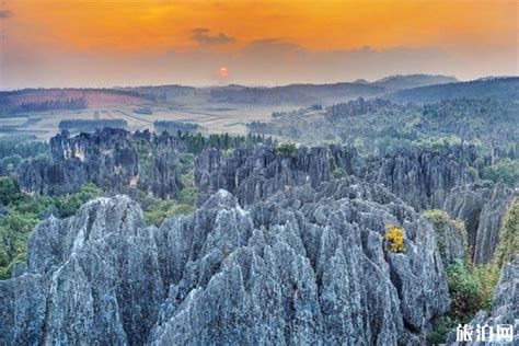 恩施梭布垭石林是一片神秘的天地：有着“世界第一奥陶纪石林”之称