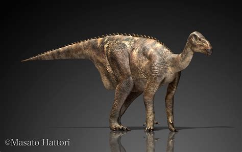 30厘米的恐龙长啥样？中国科学家发现美颌龙类新物种
