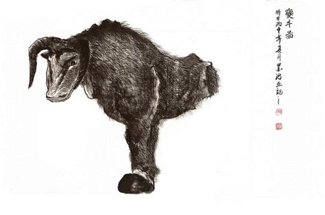 一只好奇的年轻棕色小牛伸出舌头高清图片下载-正版图片502516848-摄图网