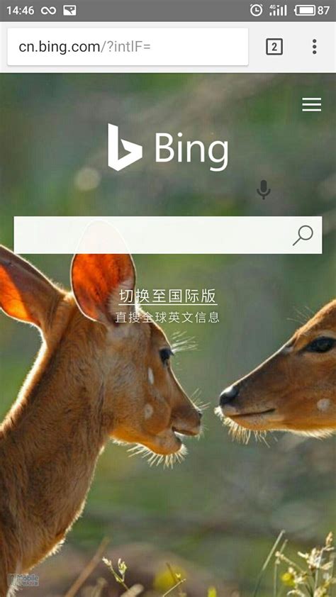 微软搜索bing国际版软件截图预览_当易网