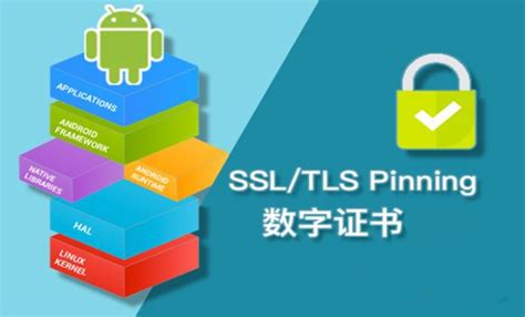 OV SSL证书评测以及购买建议-SSL证书申请指南网