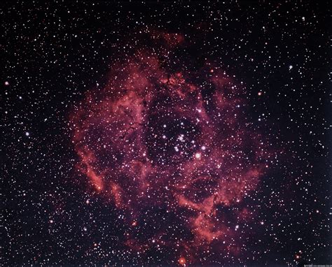 NGC2237号玫瑰星云图片