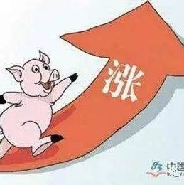 2022年猪价预测！8-9月份猪价上涨到12元！_养殖户_生猪_散户