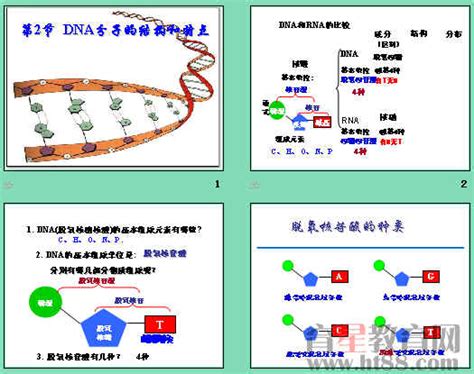在基因结构中，蛋白质编码DNA被分成多个外显子，可能有什么好处？ - 知乎