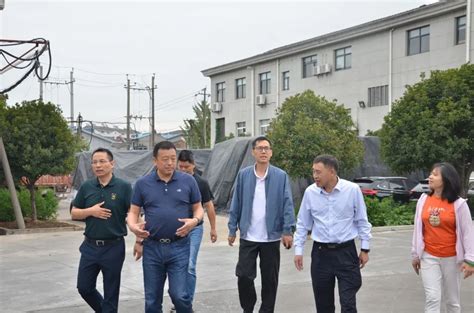 省农技推广体系工作交流及现场观摩会在滁州召开_滁州市农业农村局