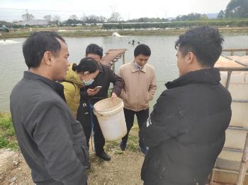 省市水产专家服务团队为清新区农技推广驿站提供技术支撑