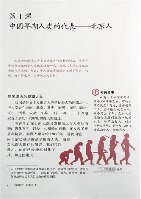 史前文明 中国人的起源 人类起源之谜 人类进化-搜狐大视野-搜狐新闻
