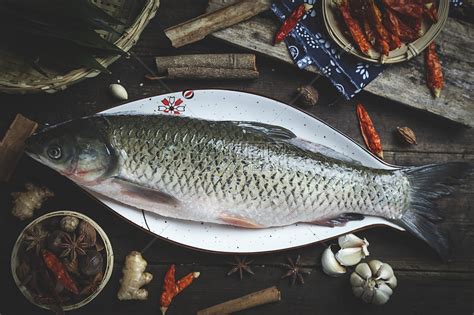 野生淡水鱼品种大全 - 惠农网