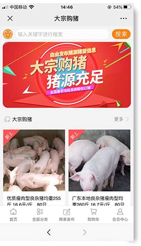 “试用期”后，他们找到了替代公猪的最好选择_技术推广_河南畜牧兽医信息网手机版