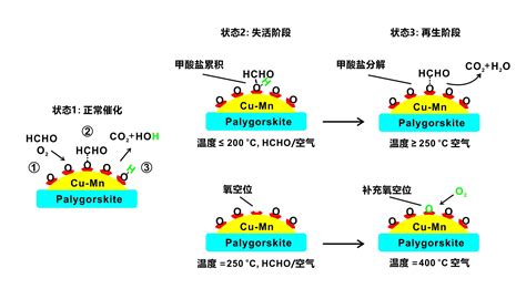 新制氢氧化铜与乙醇，乙酸，乙醛，甲酸的反应现象及原理