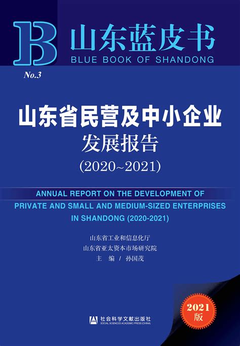 山东省民营及中小企业发展报告（2020～2021）_皮书数据库