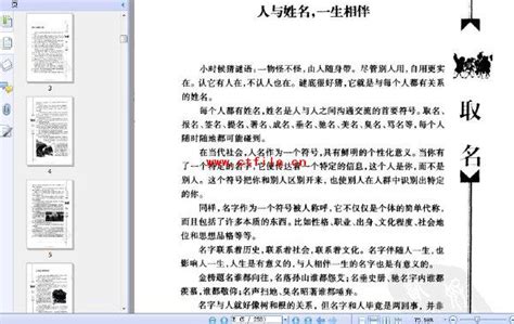 中国取名规则Word模板下载_编号qzxzbbwx_熊猫办公