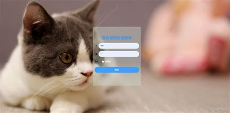 doghome宠物互动寄养软件手机版安卓下载_doghome宠物互动寄养软件无广告弹窗免费下载V11.0.1 - 安卓应用 - 教程之家