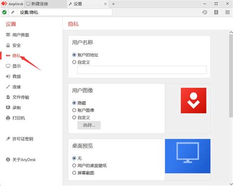 安卓版AnyDesk隐私、输入、显示等基础设置-AnyDesk中文网站