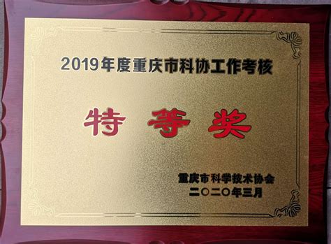 重庆工业设计协会荣获2019年度重庆市科协工作考核特等奖 协会动态 重庆工业设计协会