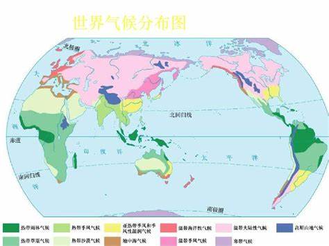 七年级地理气候类型及特征