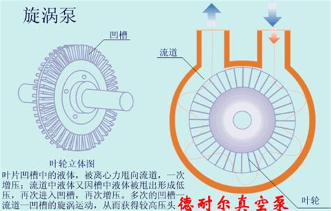 浮动式涡旋干泵的结构设计与特点-涡旋技术-思科涡旋科技(杭州)有限公司