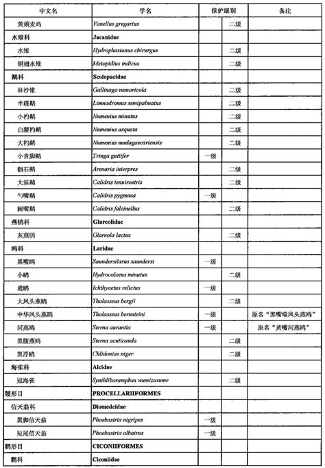 遗鸥（国家一级保护动物） - 佳能 EOS 5D Mark II(5D2) 样张 - PConline数码相机样张库