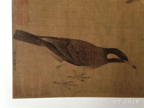写生珍禽图的作者图片