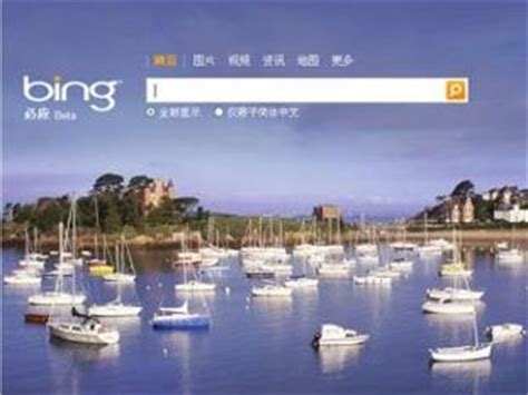 微软 Bing 搜索 - 国内版