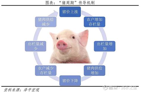 任泽平:猪周期的逻辑与展望 文/任泽平2021年11月至今，猪价进入“W”筑底阶段，边际企稳。2022年4月为第二次筑底，22省市猪肉均价从4 ...