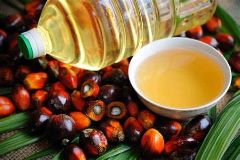 精炼棕榈油是什么油？_技术支持