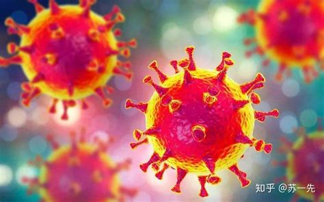 武汉的新型冠状病毒和非典有何不同？(附预防手册）