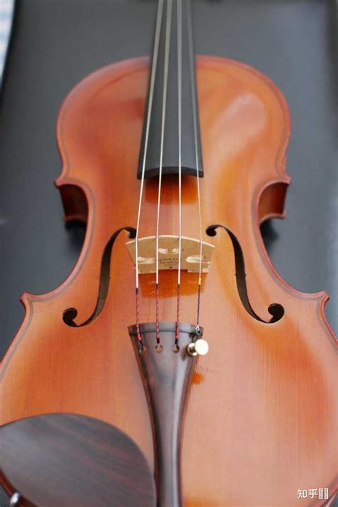 小提琴一般多少钱（怎样网购一把小提琴） - 上海资讯网
