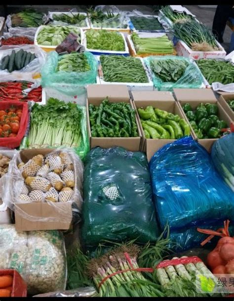 批发各种蔬菜,济南七里堡,进货渠道_大山谷图库