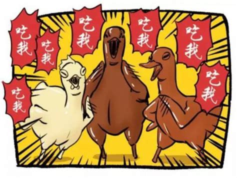 鸡鸭鹅，猪牛羊，哪种肉营养价值更高？——上海热线健康频道