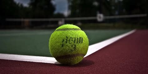 板式网球知多少？|网球|球拍|西班牙_新浪新闻