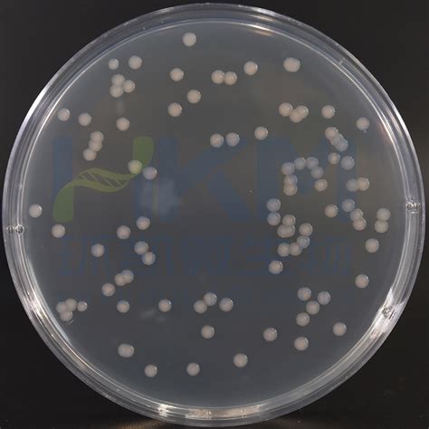 新品上市 I 微量菌株（TINY STRAINS）-快速提供“满足快速无菌检查方法验证”的低浓度菌悬液 - 自主发布 - 资讯 - 生物在线