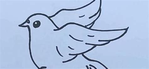 最漂亮儿童简笔画教程 小鸽子的画法（剪刀彩色简笔画） - 有点网 - 好手艺