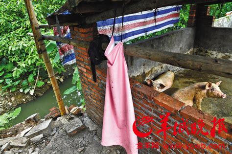 探访惠州园洲“红河”水污染:每年4-7月都不太平 - 媒体报道 - 派斯净水官网
