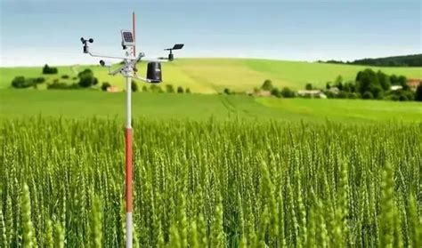 【技术观点】人工智能助力农业发展 - 知乎
