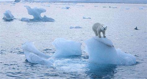 新知 | 南极2月气温破20℃——全球变暖，人类何去何从？_新华报业网