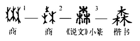 细说汉字“森”，森字的本义、森字演变及起源 - 细说汉字 - 辞洋