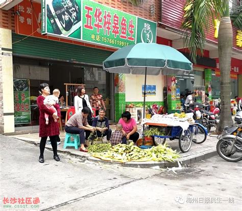 多次曝光仍不见收敛！这些竟成了广东梅州街头的“老顽固”！_其它_长沙社区通