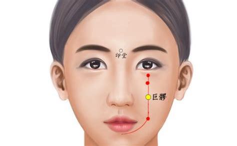 巨髎颧髎位置图,膈位置图,巨髎颧髎(第8页)_大山谷图库