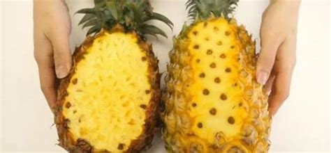菠萝跟凤梨的区别图片,味道,波罗_大山谷图库