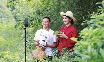陇南蓝莓项目-山东博云现代农业科技有限公司