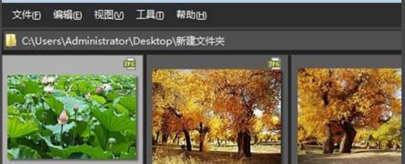【ACDSee官方免费版下载】ACDSee经典版 v3.1 简体中文版-开心电玩