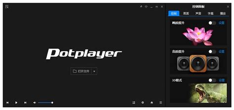 potplayer最新安装版下载-PotPlayer(全能播放器)下载v1.7.7322 中文最新版-韩国的全能影音播放软件-绿色资源网